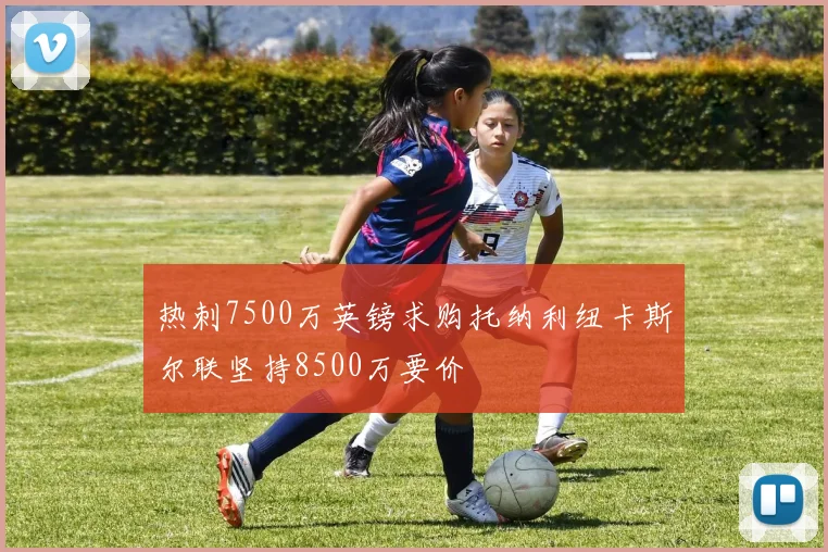 热刺7500万英镑求购托纳利纽卡斯尔联坚持8500万要价